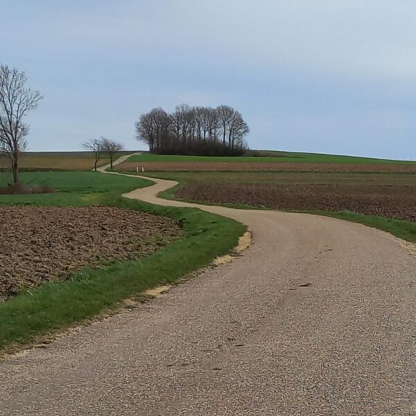 Fietsroute Nederland - Sittard - Ingber - Sittard [71 km]