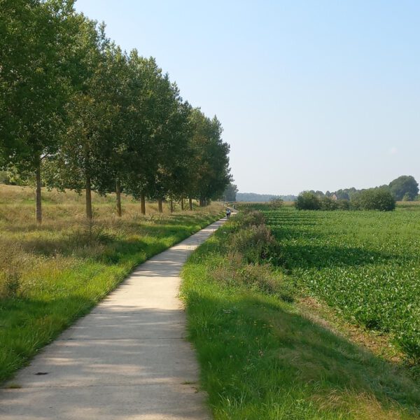 Fietsroute Nederland - Met de klok mee door het westelijk Heuvelland en langs de Maas [61 km]