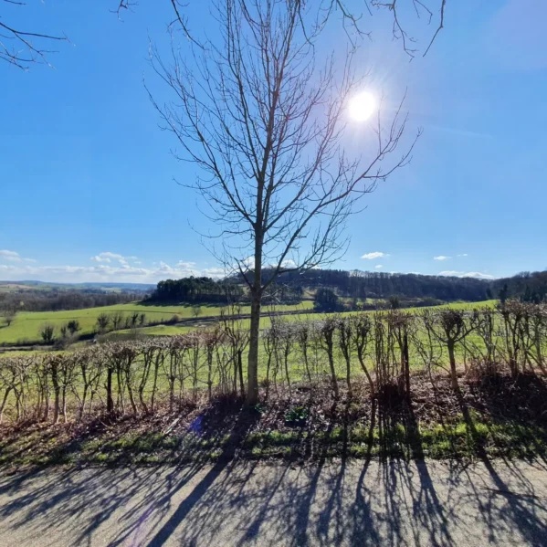 Fietsroute Nederland - Sittard - Ingber - Sittard [71 km]